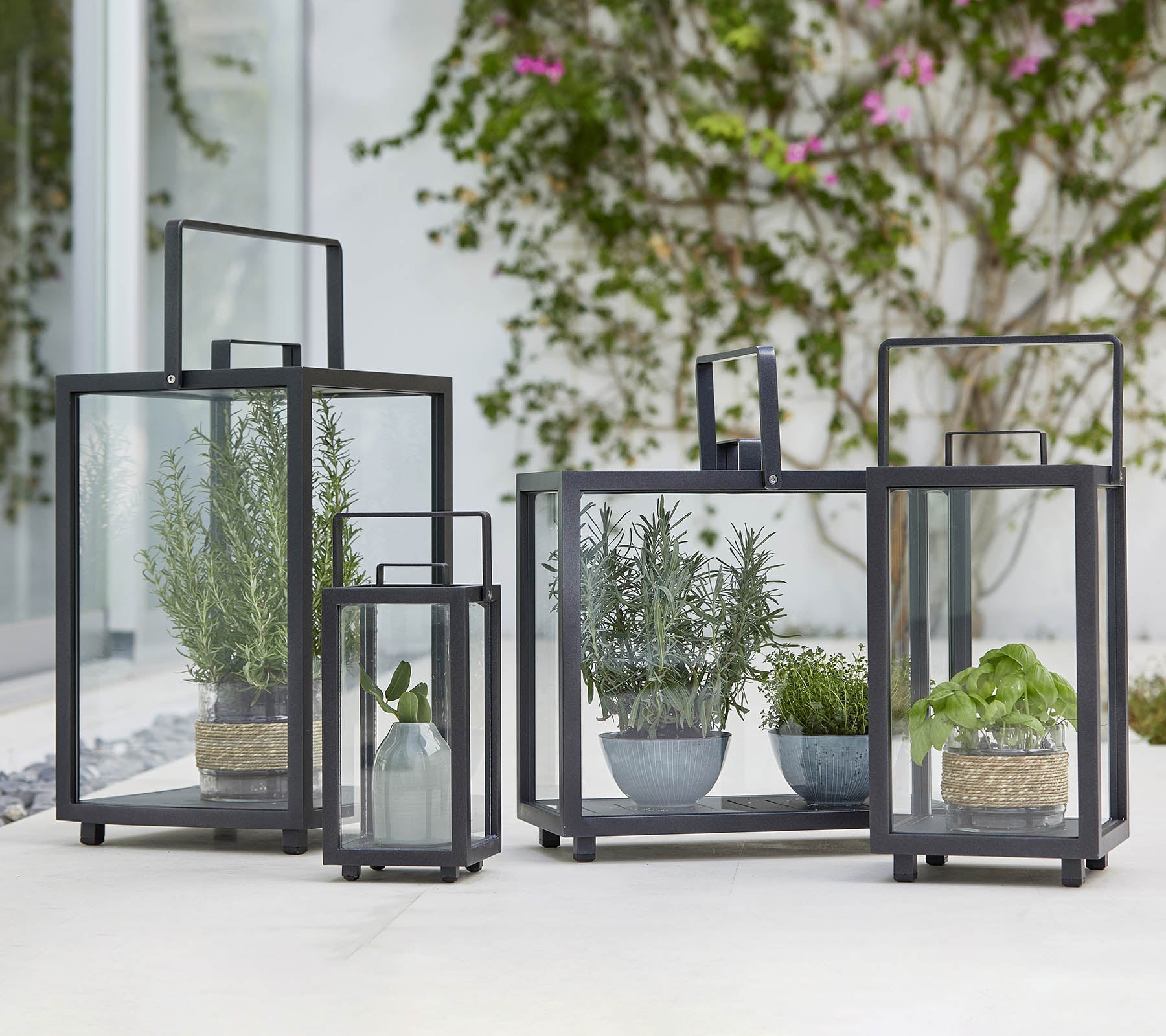 Fyra geometriska glaslyktor med olika krukväxter inuti, som visar upp modern design och grönska.
