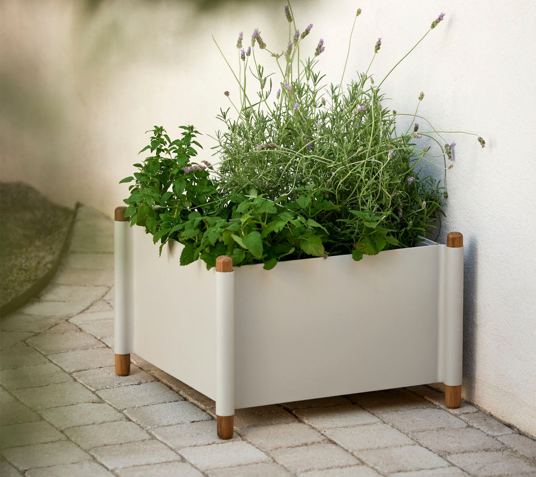 En modern planterlåda fylld med olika gröna örter och växter, med naturliga trädetaljer i hörnen.