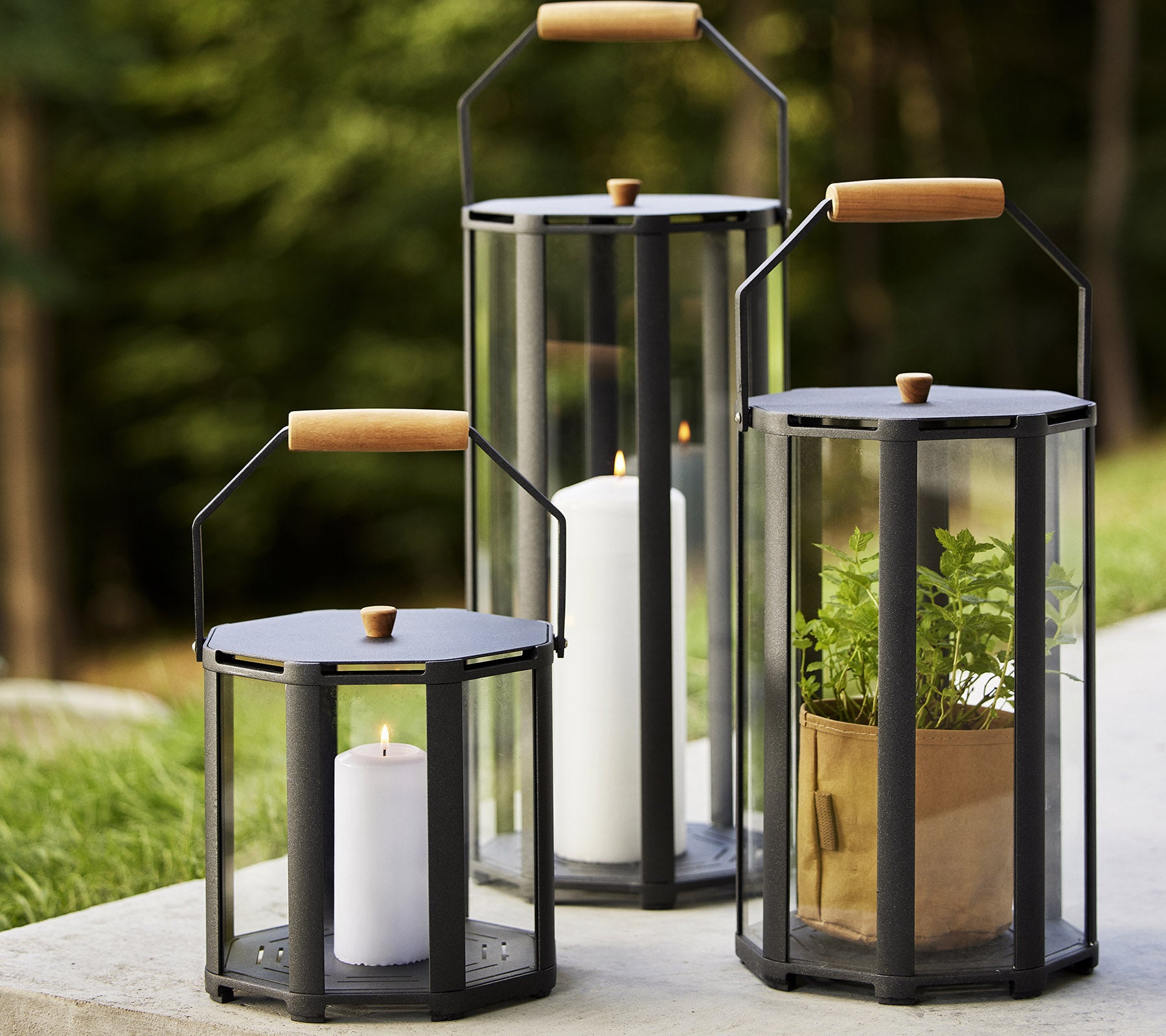 Tre lanternor med trähandtag, som visar ljus och växter, mot en naturlig bakgrund. Ideal för att förbättra atmosfären.