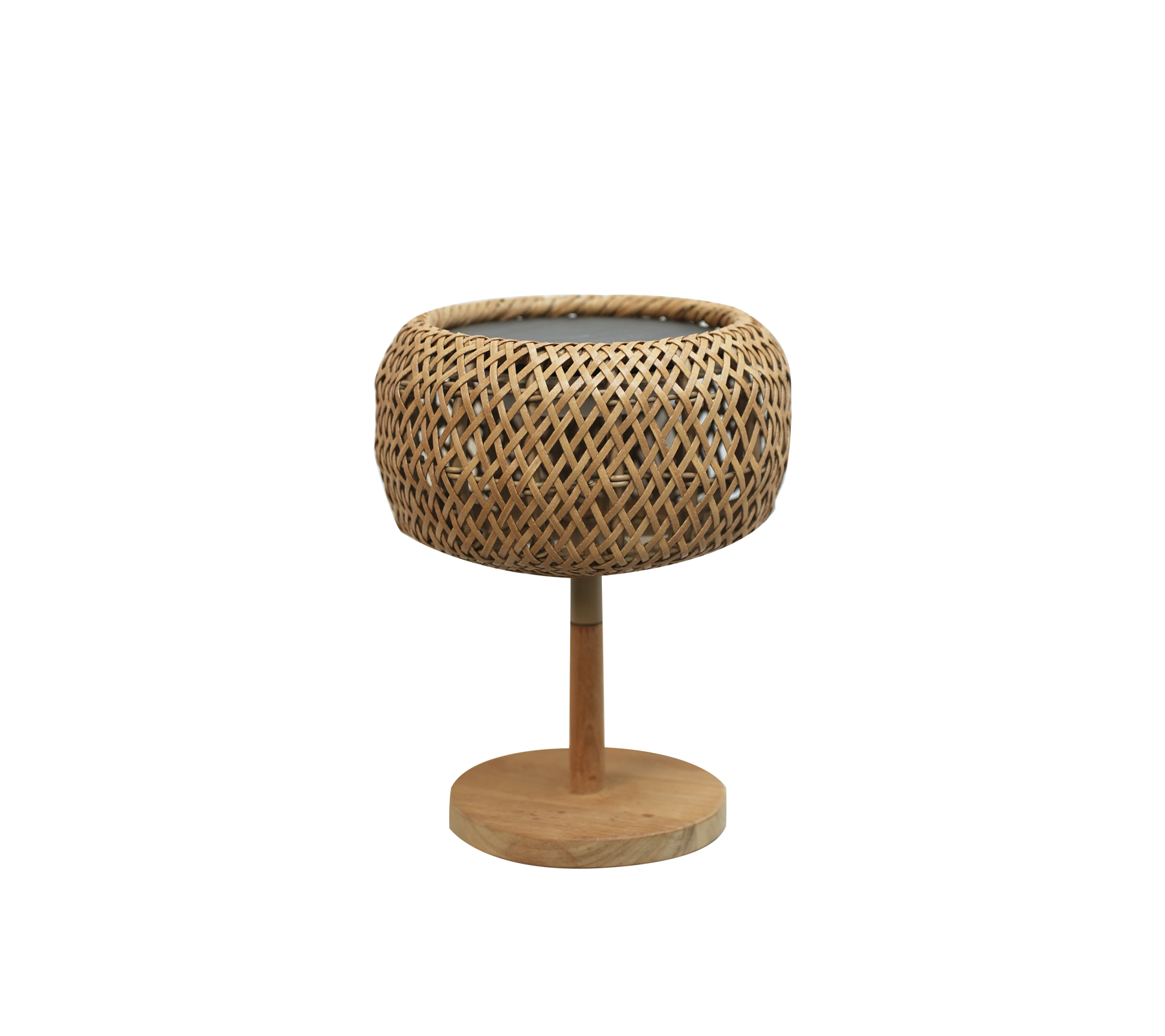 Modern naturkruka med vävd design och rund bas.