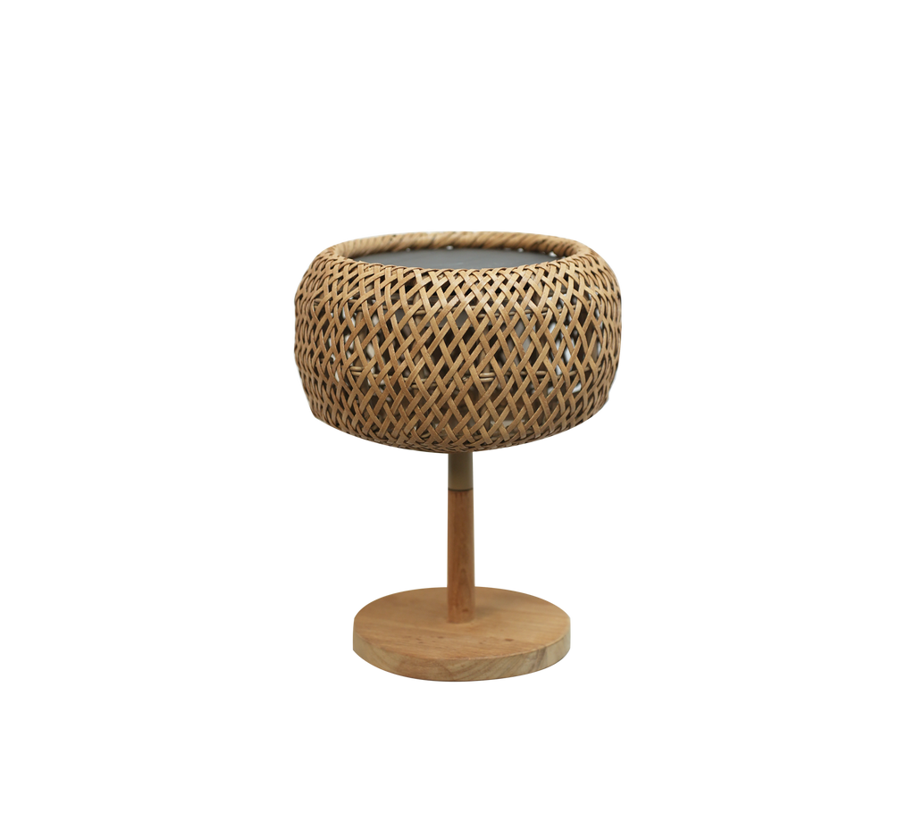 Modern naturkruka med vävd design och rund bas.