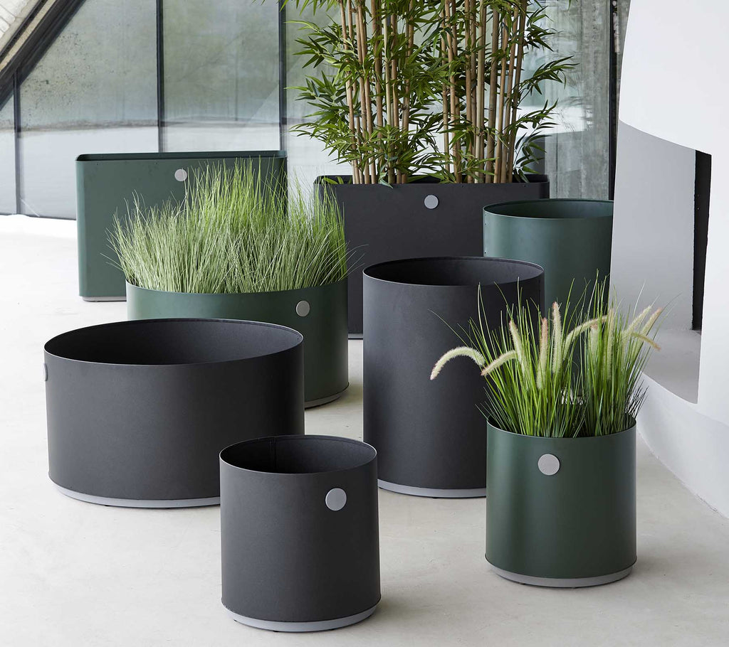 Grow odlingslådor, medium