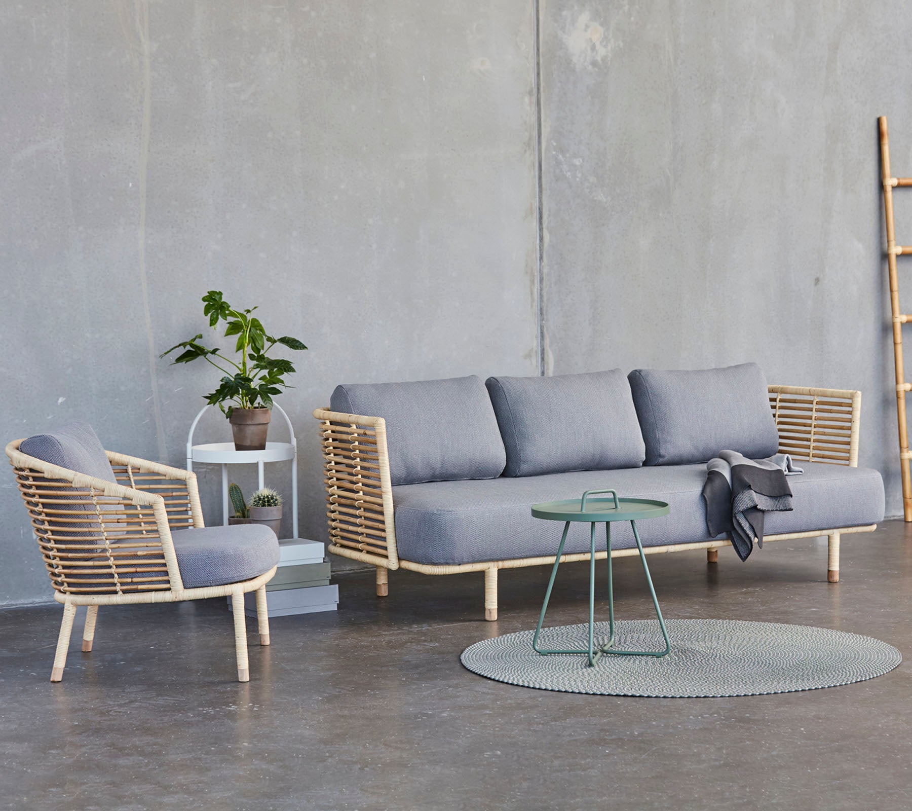 En modern sittgrupp med en grå soffa, en matchande stol, en rund matta och ett litet bord med en krukväxt.