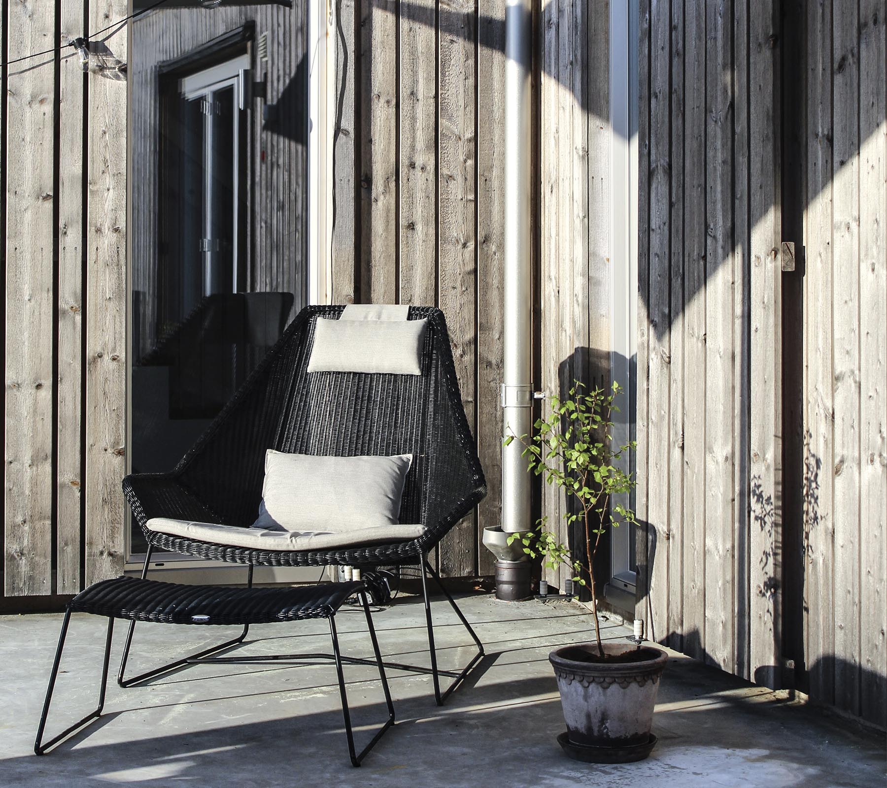 En stilren svart stol med en kudde, placerad bredvid en liten krukväxt mot en träbakgrund.